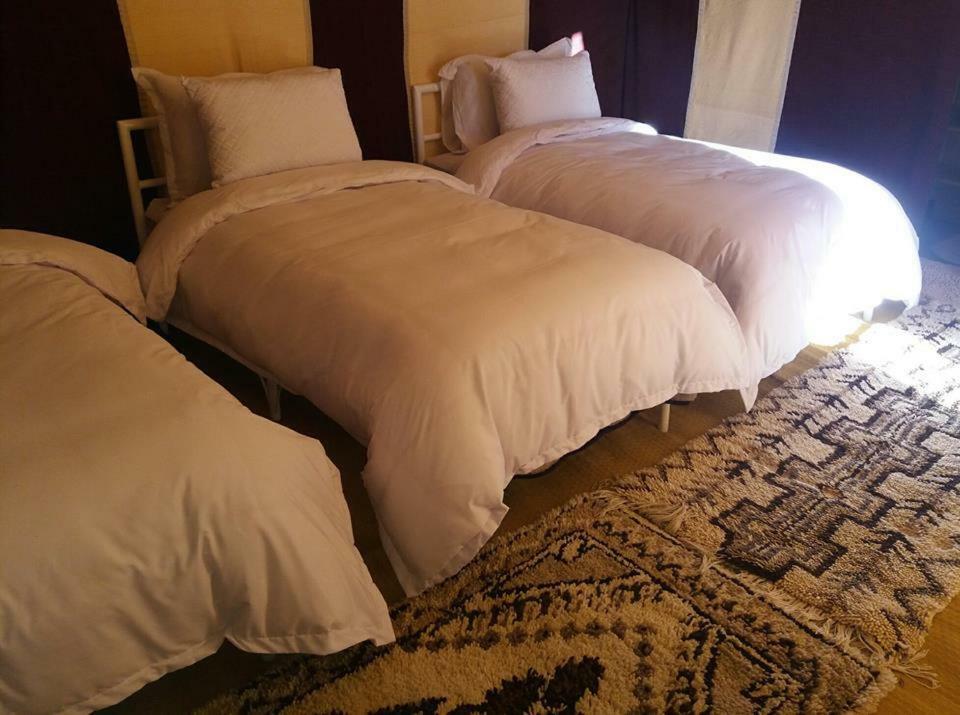 Bassou Luxury Camp メルズーガ エクステリア 写真